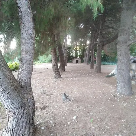 Complex Masia Del Tremendo Y *